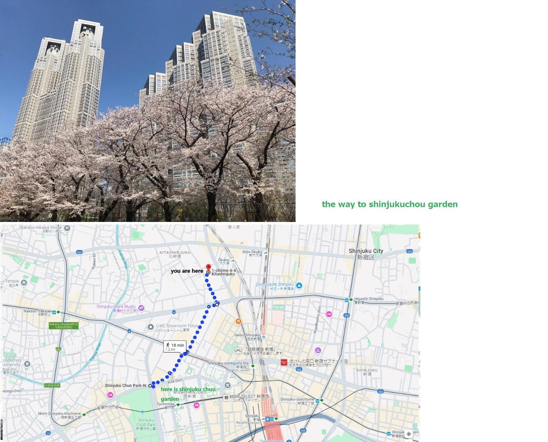 大久保駅から４分、貸切、韓国ダウン至近、新宿/歌舞伎町に徒歩圏内 、단독사용민박 Tokyo Dış mekan fotoğraf